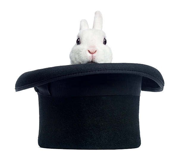 Rabbit in a magician's hat.